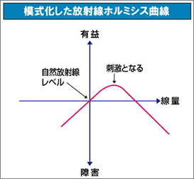 模式化した放射線ホルミシス曲線