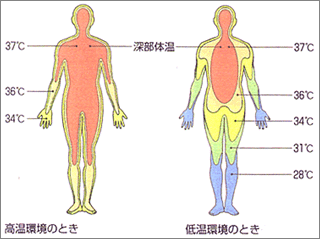 感覚の地図帳