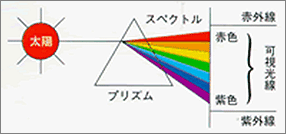 遠赤外線・近赤外線効果について